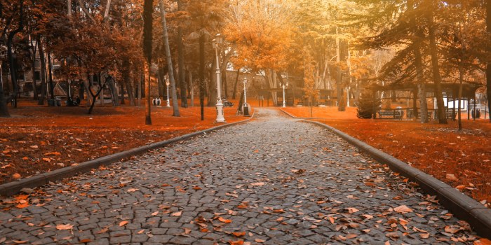 استانبول، ترکیه: ترکیب فرهنگ و طبیعت