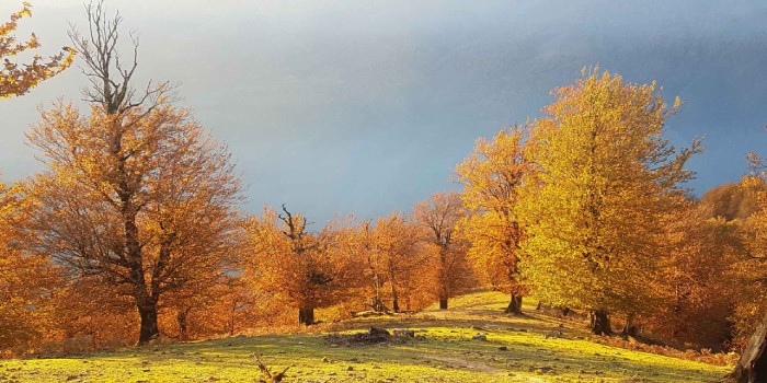 ماسوله، ایران: شهری رویایی در دل کوهستان