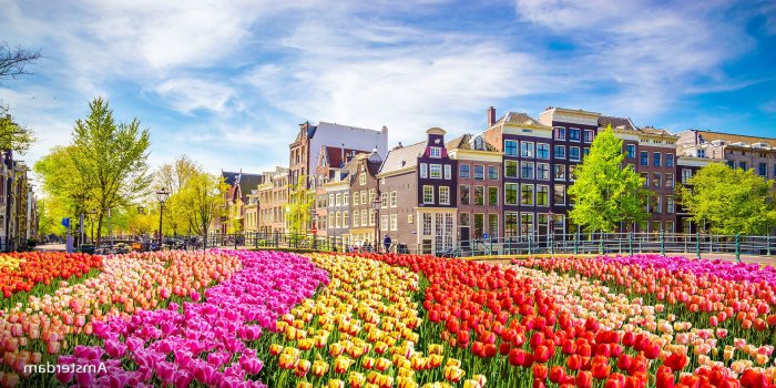 جشن‌ ها و فستیوال‌ های معروف هلند