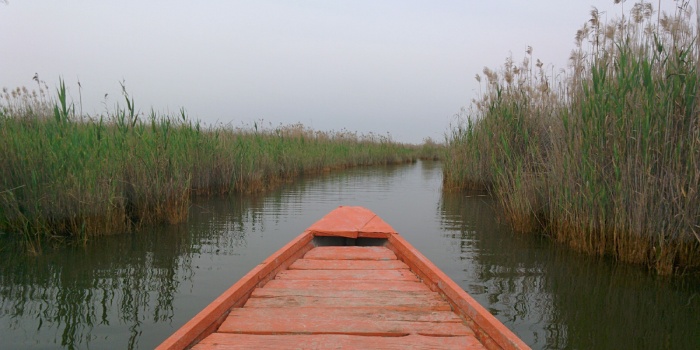 تالاب شادگان؛ قلب اکوسیستم منطقه