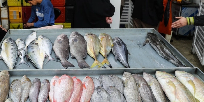 منطقه عربای مشهد