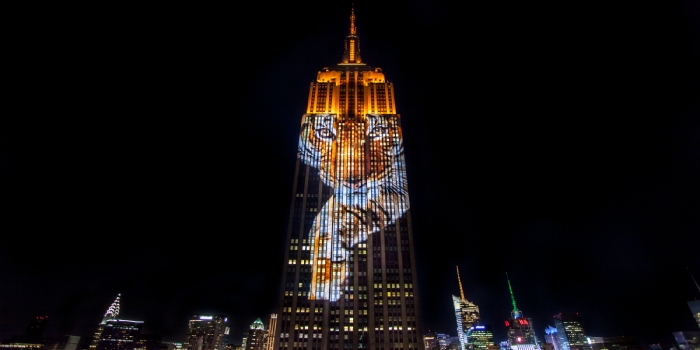 نورپردازی و برنامه‌ های ویژه در امپایر استیت