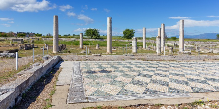 ساختار معماری و فضاهای داخلی کاخ پلا