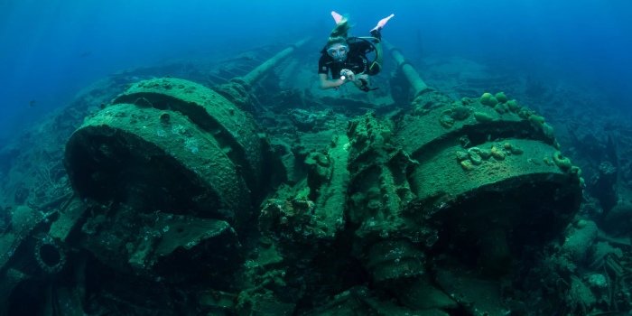 کریستوبال کولون؛ بزرگ ترین لاشه شناخته شده در آب های برمودا