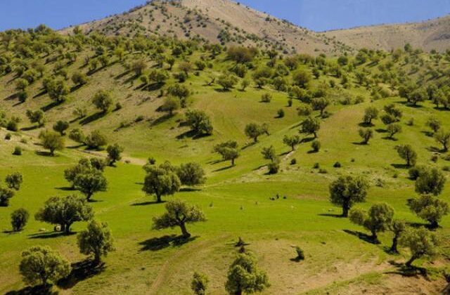 مناطق روستایی ایلام فرصتی برای ایجاد فضاهای توریستی و گردشگری است