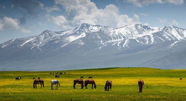 قرقیزستان کجاست ؟ آدرس، مکان و جاذبه های دیدنی + راهنمای سفر