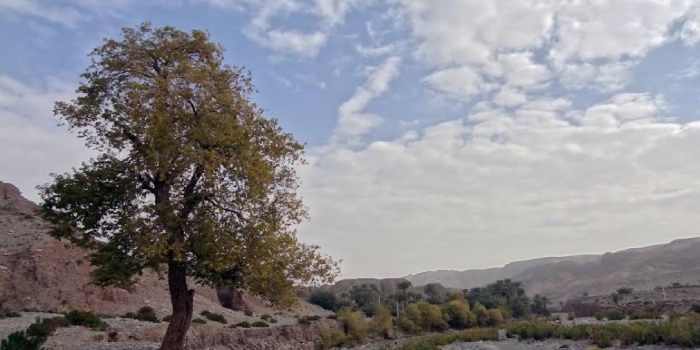 عنبرآباد کجاست؟ شهر گرم و کهن در استان کرمان