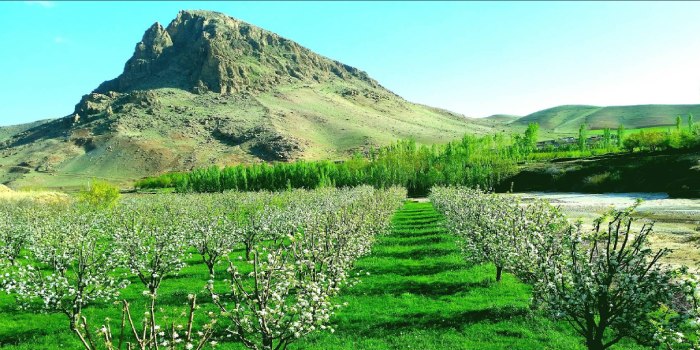 قوشاچای کجاست؟ معرفی شهری تاریخی در آذربایجان غربی