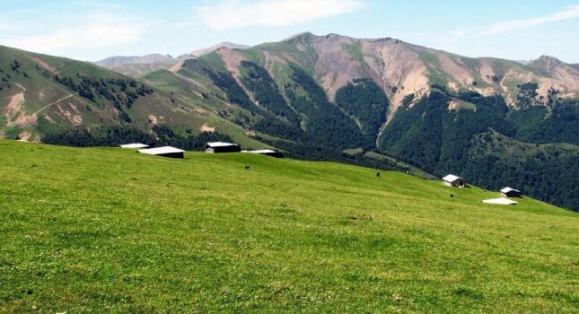 فومن کجاست و چرا باید از این شهر دیدن کنید؟