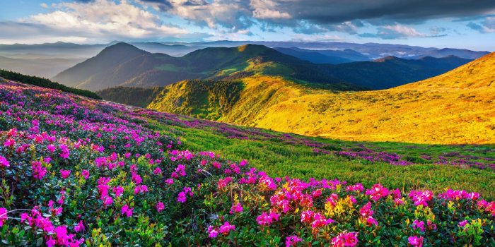 زیباترین مکان‌ های طبیعی ایران: از کوهستان تا کویر