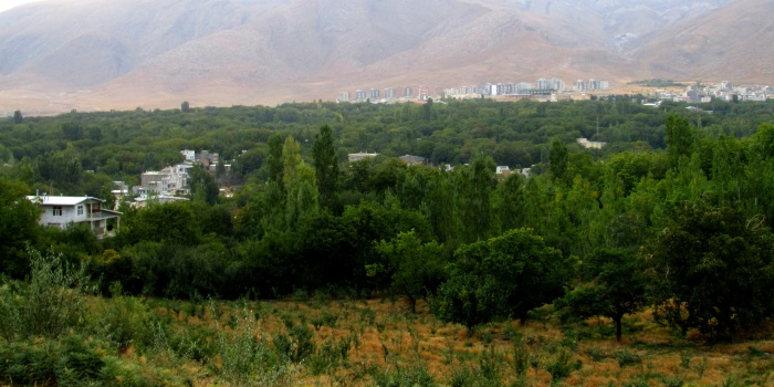 خوانسار کجاست؟ معرفی شهر گل ‌های زنبق و جاذبه‌ های گردشگری خوانسار