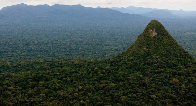 همه چیز درباره Cerro Elono؛ قله مرموز آمازون