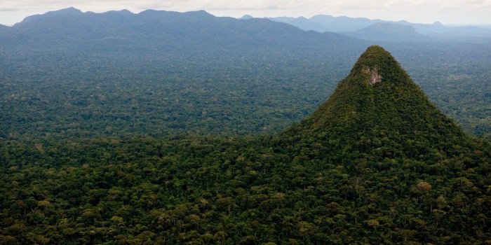 همه چیز درباره Cerro Elono؛ قله مرموز آمازون