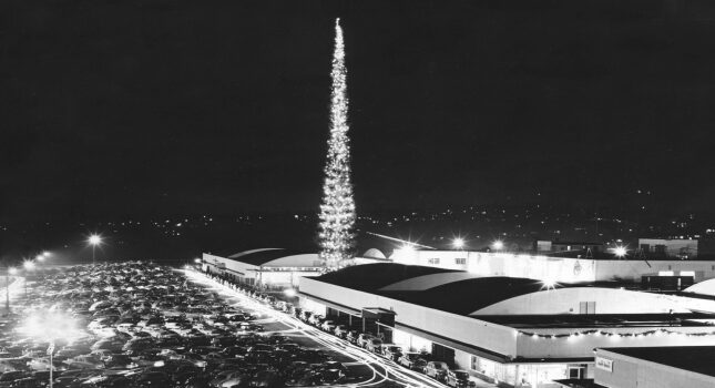 بلندترین درخت کریسمس جهان: رکوردی تاریخی در سیاتل