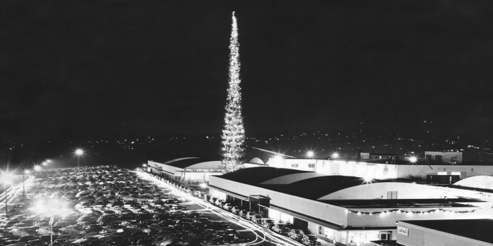 بلندترین درخت کریسمس جهان: رکوردی تاریخی در سیاتل