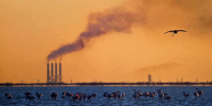 دود و گرد و غبار بر سر شمال ایران؛ وضعیت هشدار در مازندران و گیلان