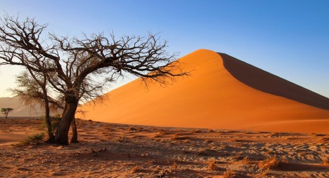 معرفی کشور نامیبیا؛ سرزمین بیابان‌ ها و حیات‌ وحش بکر
