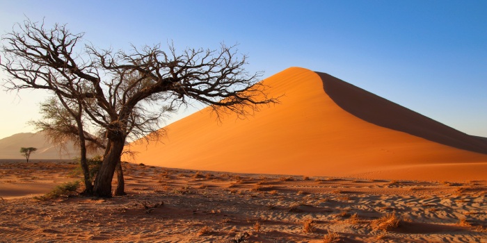 معرفی کشور نامیبیا؛ سرزمین بیابان‌ ها و حیات‌ وحش بکر