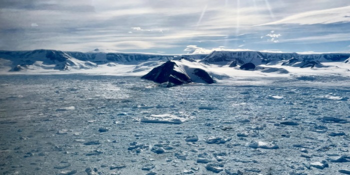 جنوبگان در آستانه دگرگونی؛ زنگ خطر تغییرات اقلیمی از سردترین نقطه زمین