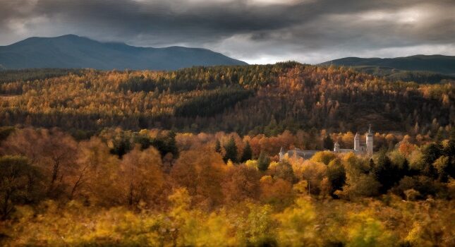 معرفی جنگل های بالمورال در اسکاتلند و اقامتگاه تاریخی ملکه ویکتوریا