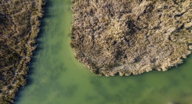 معرفی شادگان در خوزستان؛ تجربه‌ای متفاوت از طبیعت و تالاب های جنوب