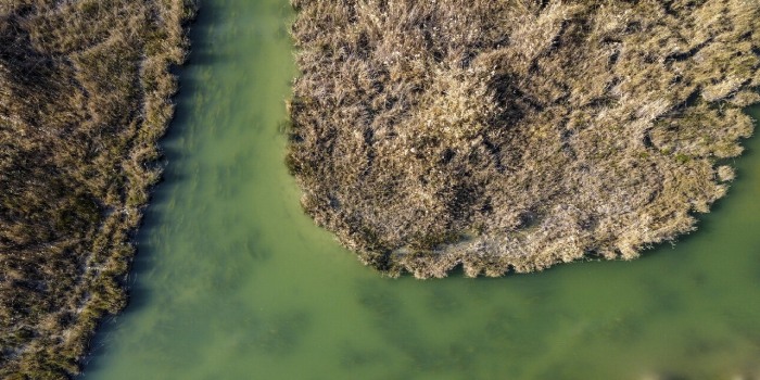 معرفی شادگان در خوزستان؛ تجربه‌ای متفاوت از طبیعت و تالاب های جنوب