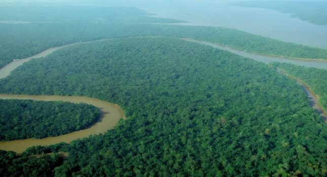 هشدار دانشمندان: تغییر اقلیم بی سابقه، جنگل آمازون را به نقطه بحرانی رسانده است
