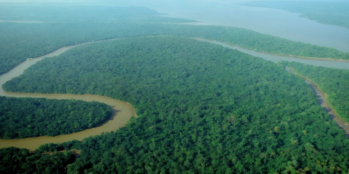 هشدار دانشمندان: تغییر اقلیم بی سابقه، جنگل آمازون را به نقطه بحرانی رسانده است